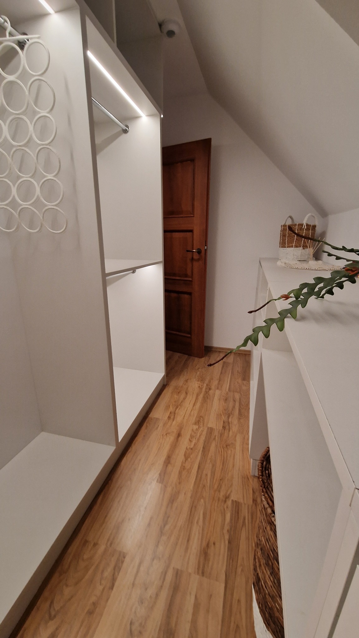 Garderoba — przejście i podświetlane drążki